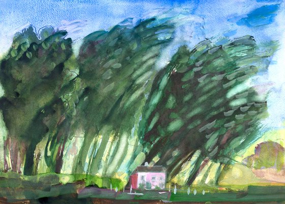 Pink Cottage in the Forest