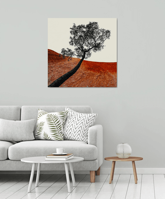 Uluru Tree