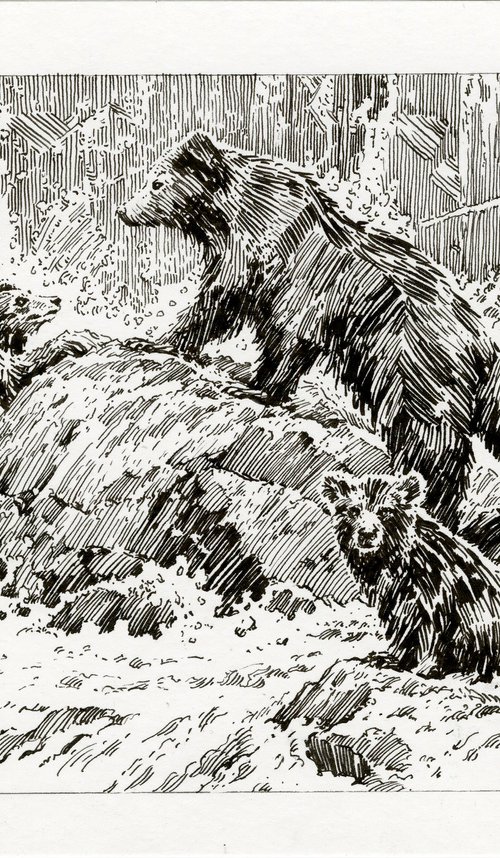 Bears by the Waterfall by Yulia Evsyukova