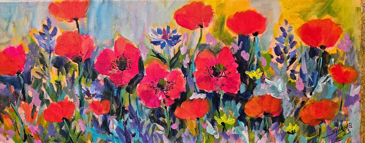 My dream poppies by Silvia Flores Vitiello