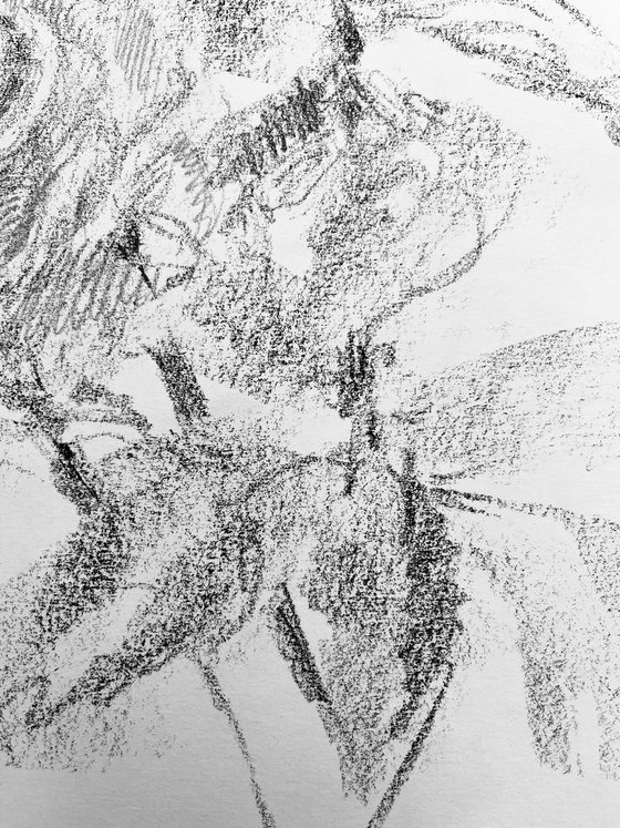 Roses #14. Original charcoal drawing