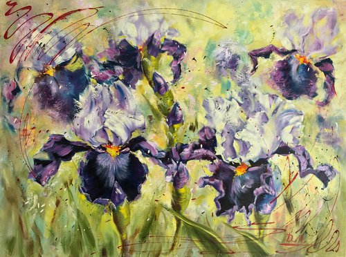 Iris by Diana Malivani