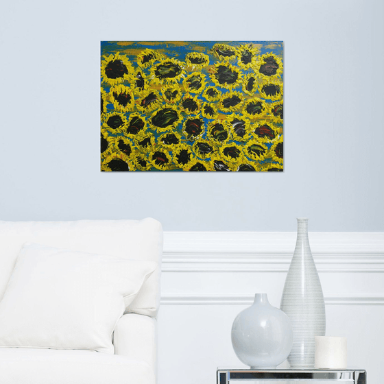 Blooming sunflowers 7