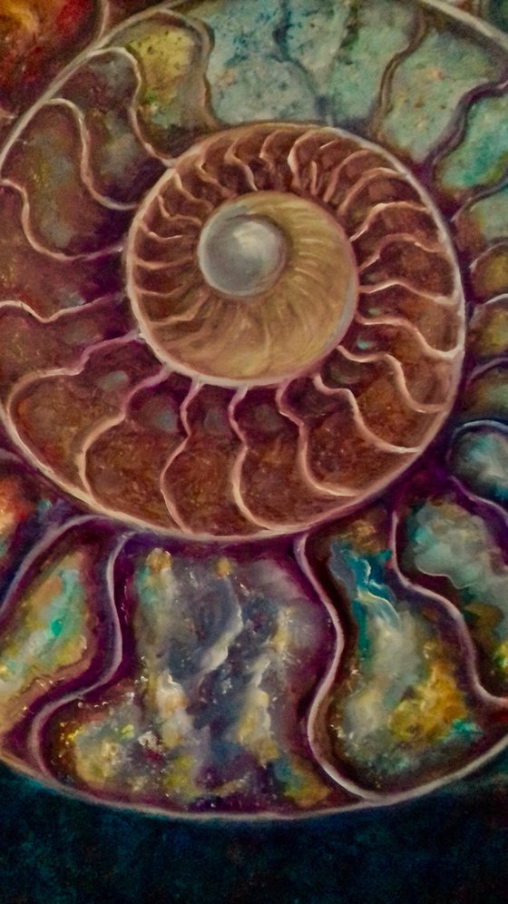 Ammonite II