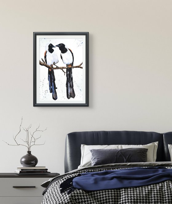 White-bellied Treepie Birds