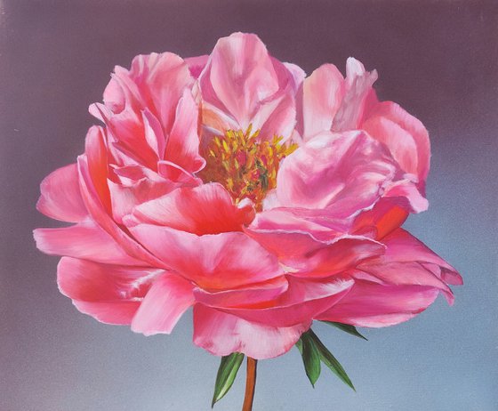 Peonies painting,  flower art, pink Peonies painting,  flowers realism art