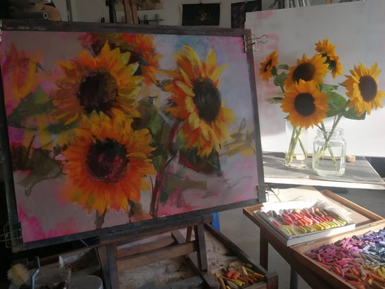 Sunflowers 2`23