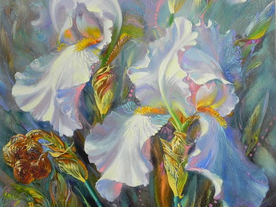 "White irises"