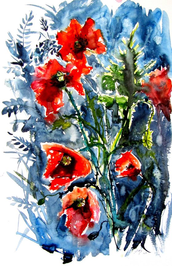 Wild poppies