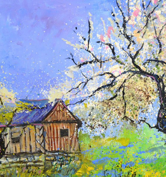 Spring in Normandy 7723