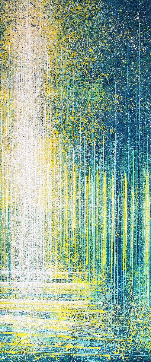 Light Through A Summer Forest by Marc Todd