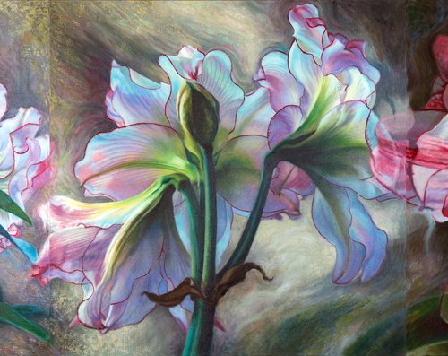 Pink Amaryllis Triptych by Kathy Carney