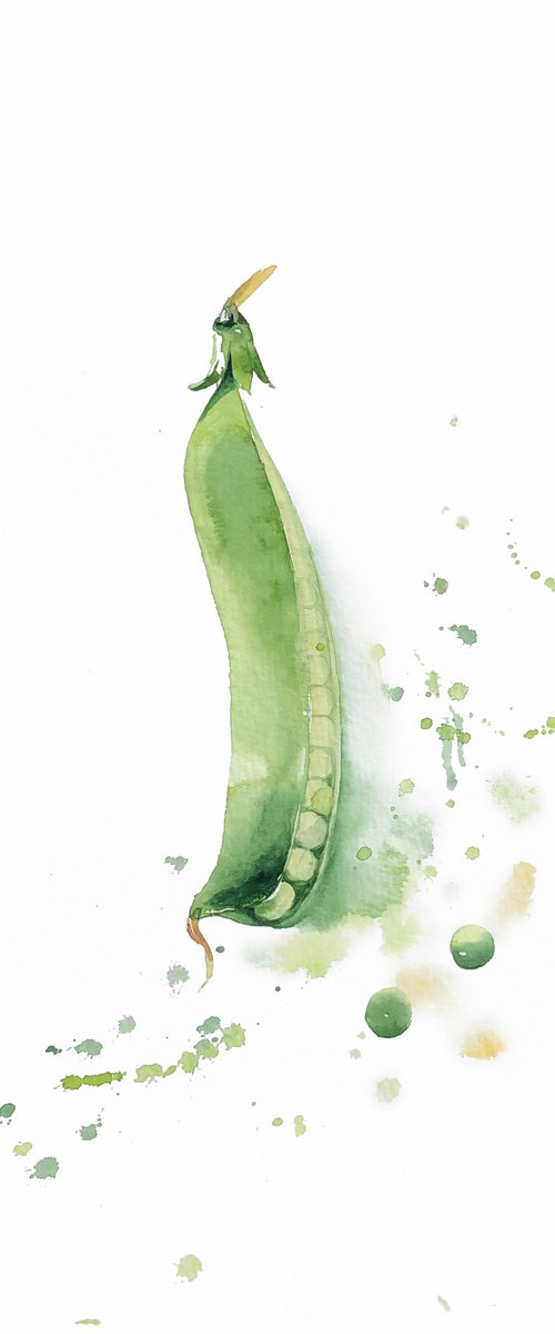 Peas from my garden 2022. Original watercolor artwork. by Nataliia Kupchyk