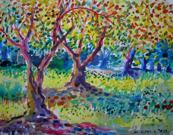 Old olive orchard V