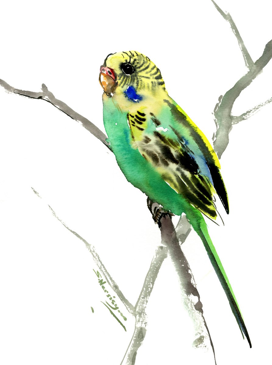 Budgie, parrot painting by Suren Nersisyan
