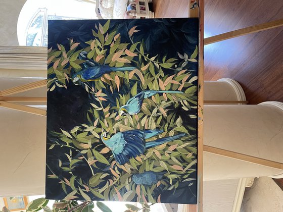 Blue parrots