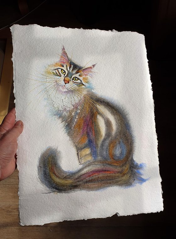 Ruffles - Tabby Cat