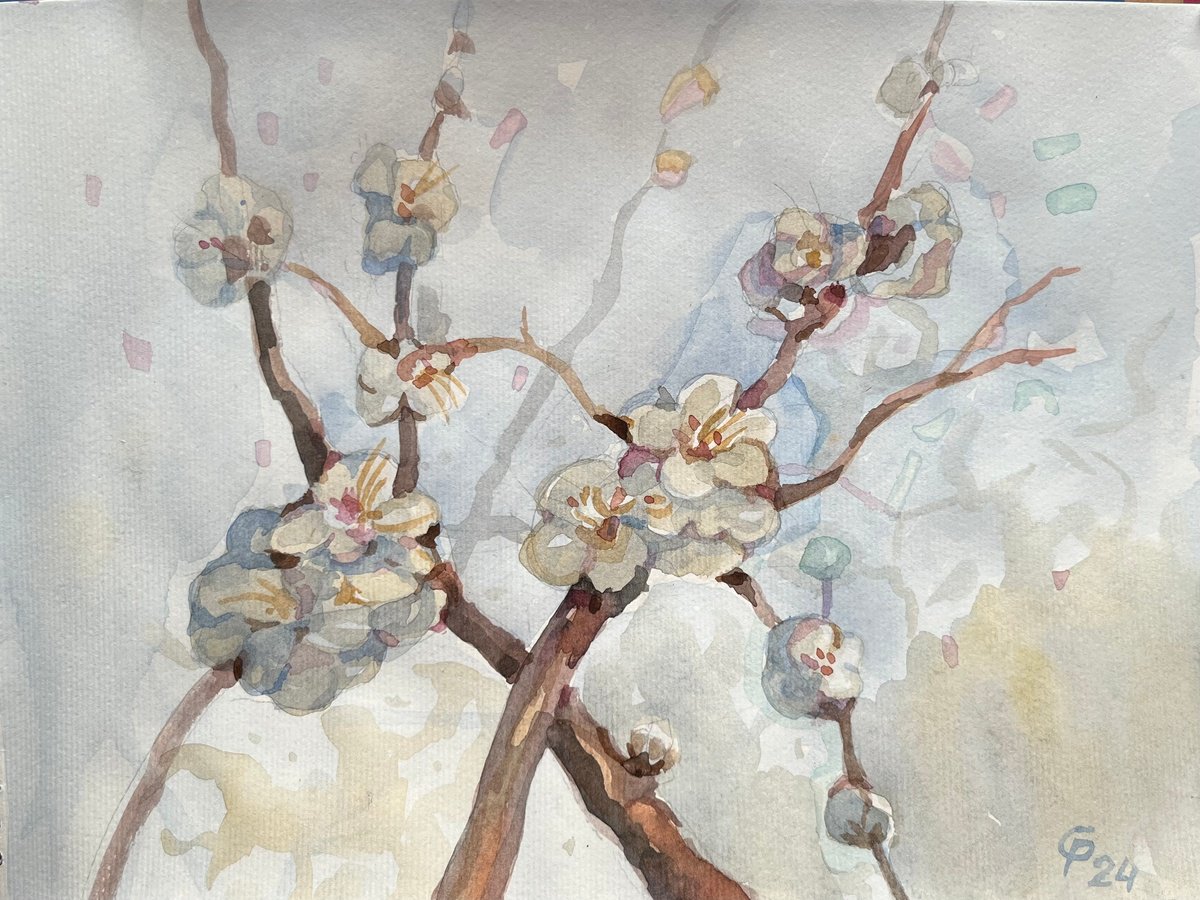 Sakura in bloom, an original watercolour artwork by Roman Sergienko