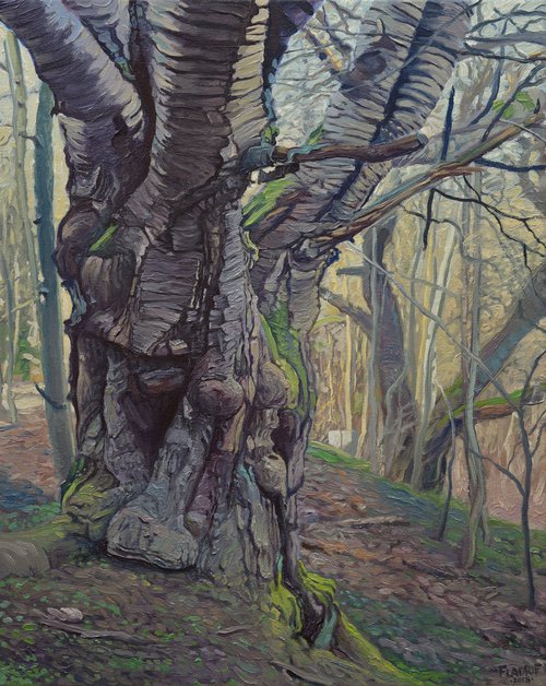 Wild Trees III - Bystrzyckie Mountains III by Wojciech Pater