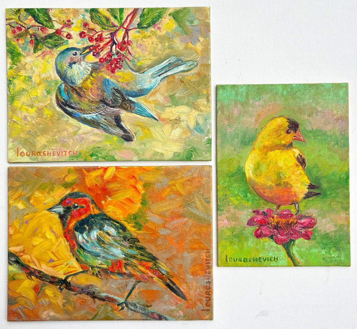 Impressionistic Animal Oil Painting By Katia Ricci, 8 X 6", Garden Serenade, Original Artwork