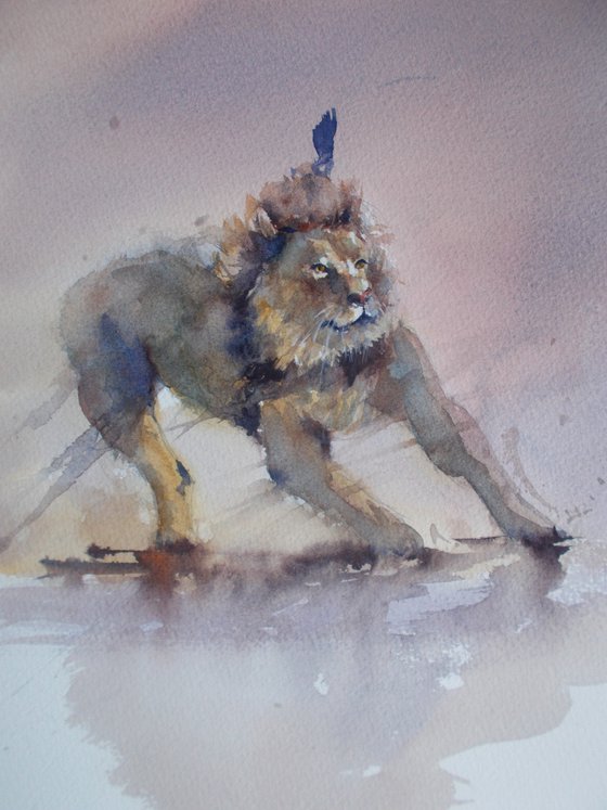 lion 7
