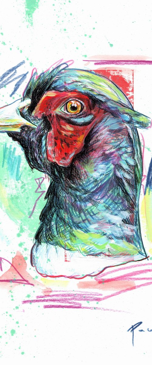 Pheasant by Paul Ward