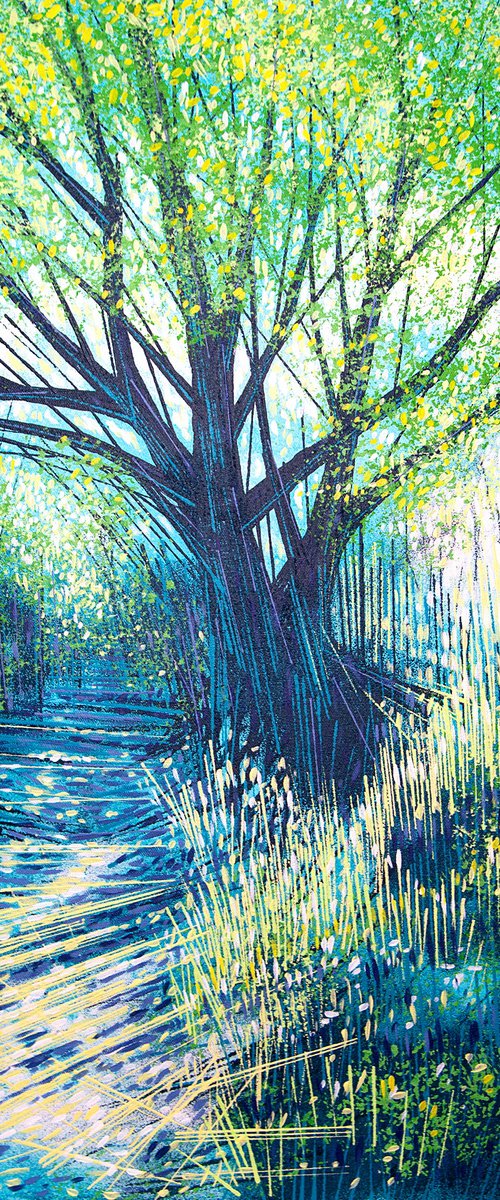 Light Through Summer Trees by Marc Todd