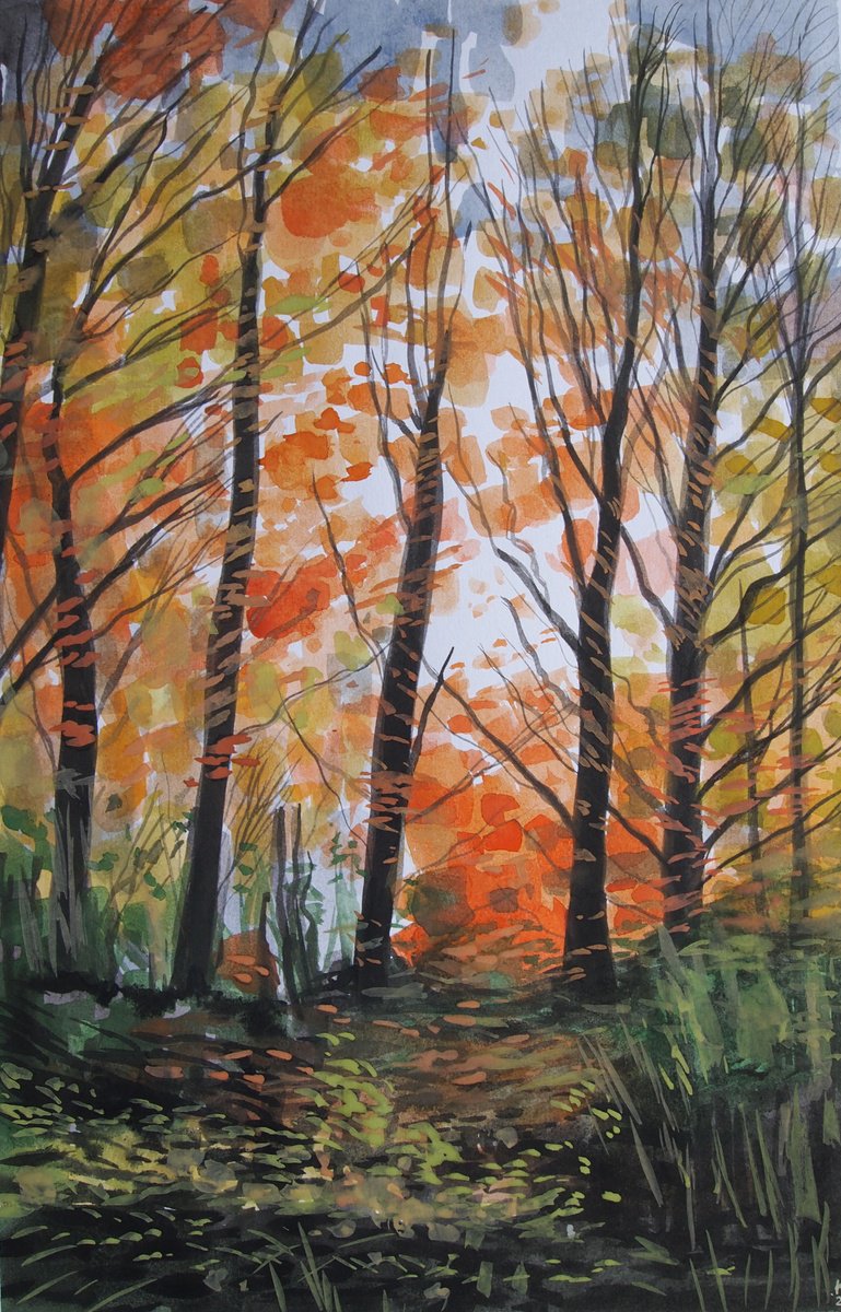 Forest Colours by Kitty Cooper