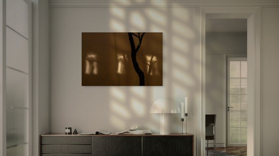 Three windows
