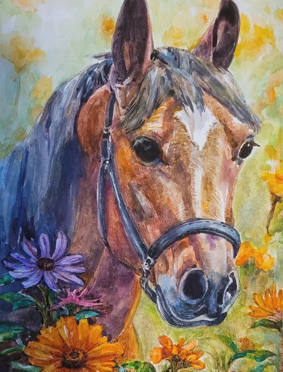 Summer horse