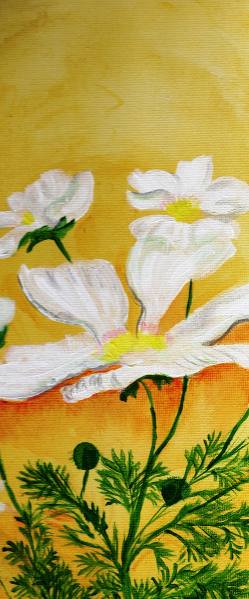white cosmos on gold ground by Sandra Fisher