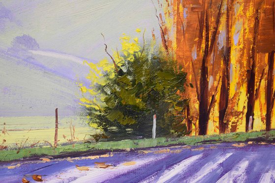 Autumn poplar Trees Landscape