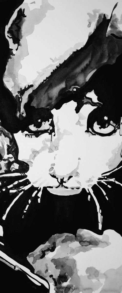 Cat in the grass ID / 42 X 29.7 cm by Alexandra Djokic