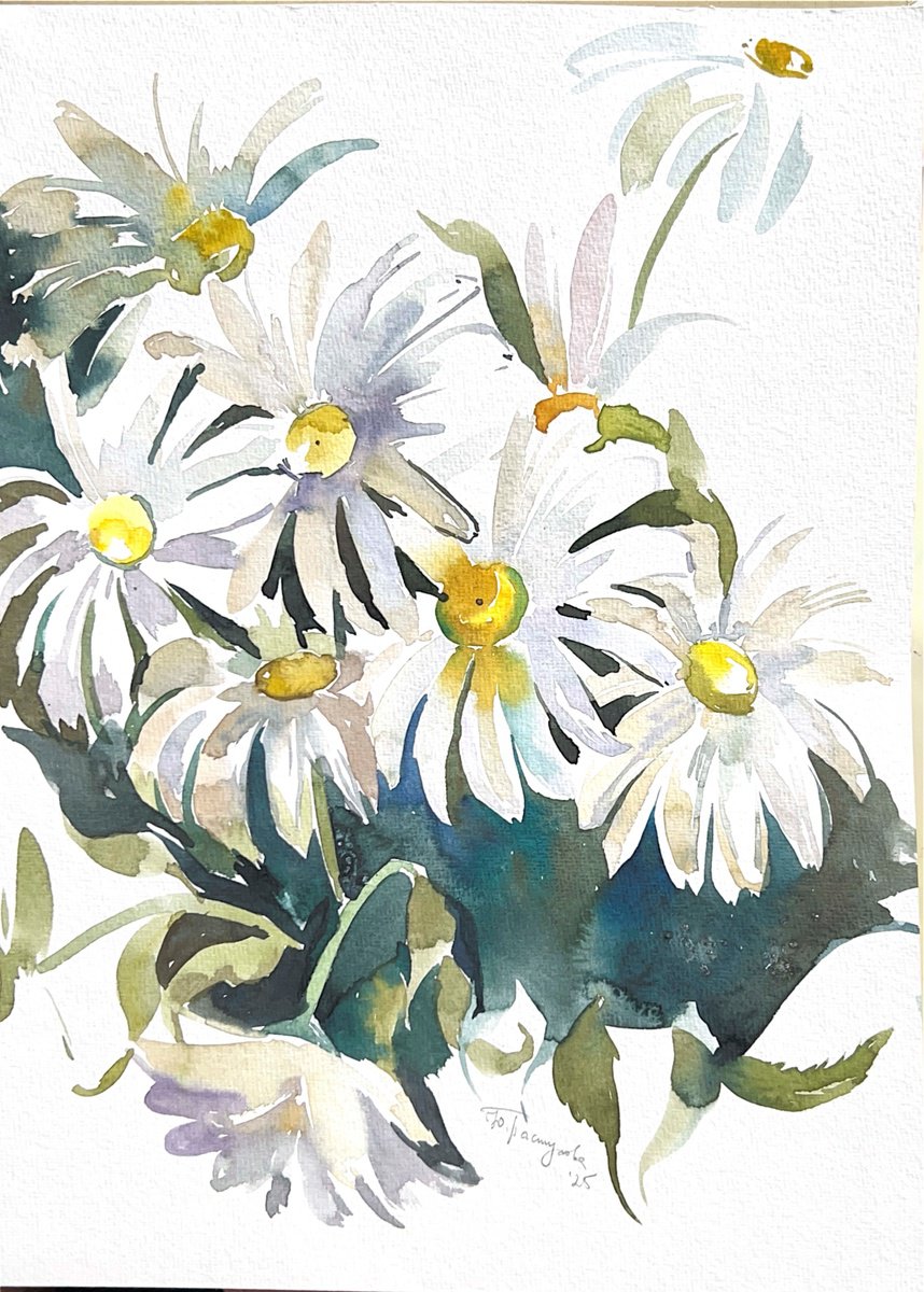 Graphic Botanical Watercolour By Yuliia Pastukhova, 12 X 16", Chamomile Bouquet, Original Artwork