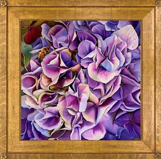 Hydrangea. Fragment.