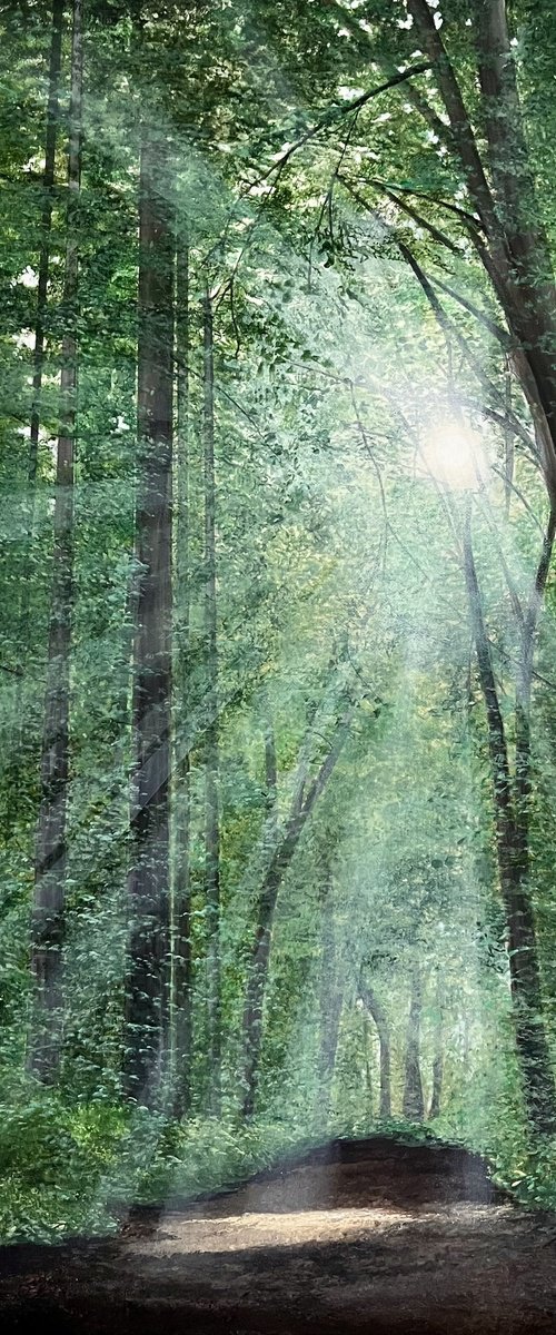 Nature's Light by Victoria Obolensky