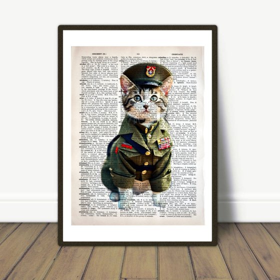 Military Dressed Kitty 2