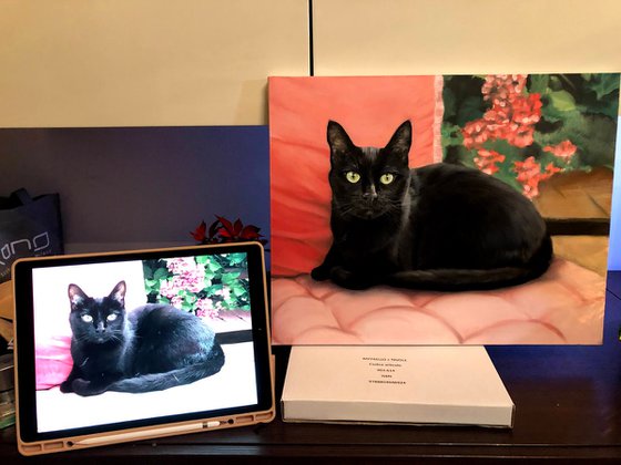 The Guardian of the Pink Velvet