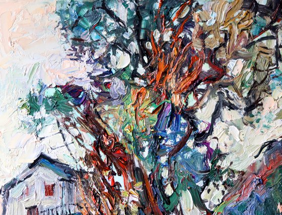 Pine trees in Arzon.