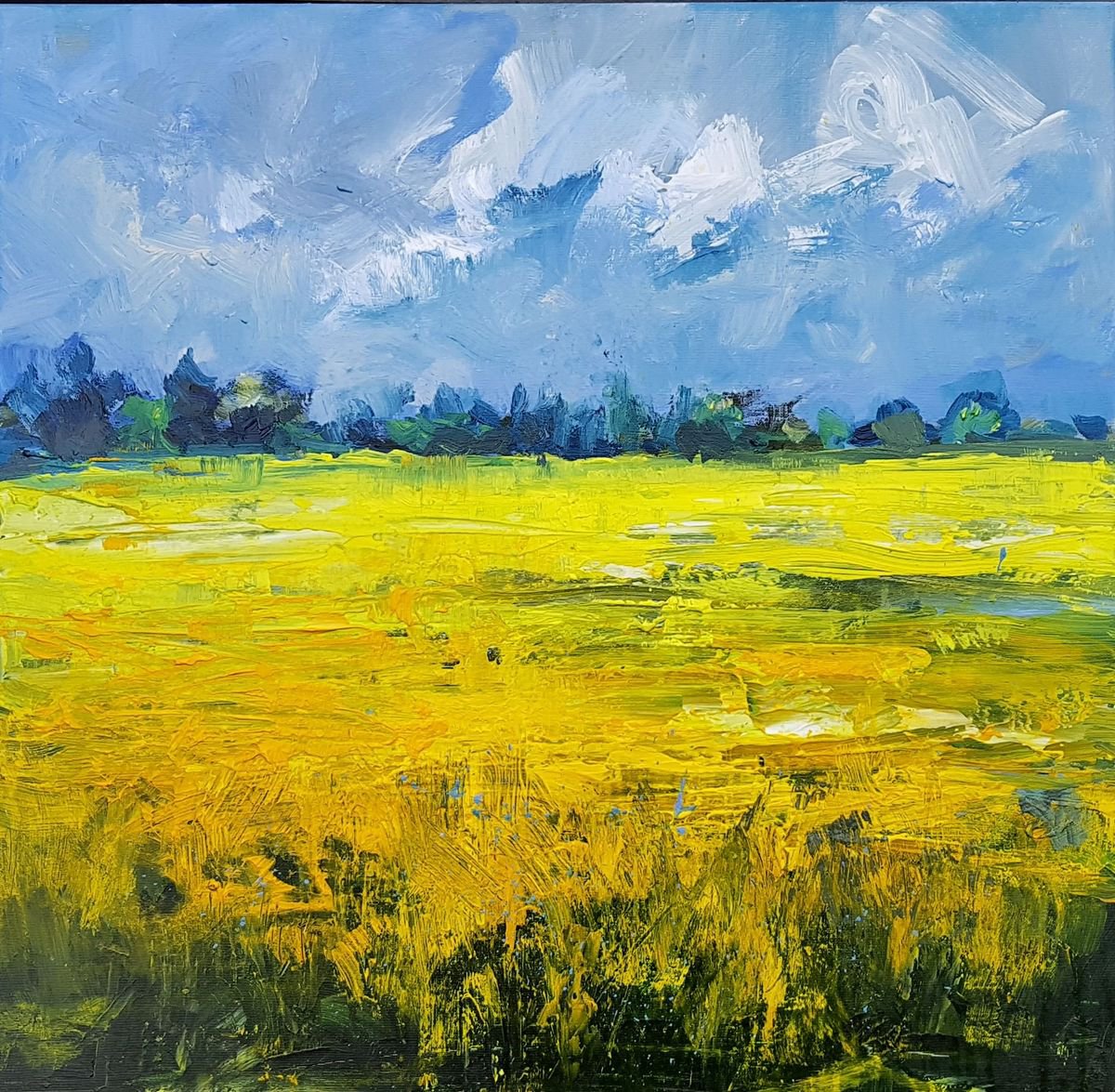 Yellow fields in the polder by Wim van de Wege