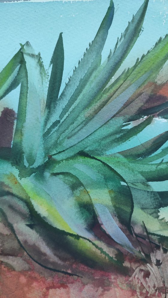 Agave. Original artwork.