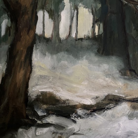 Lingering Snow