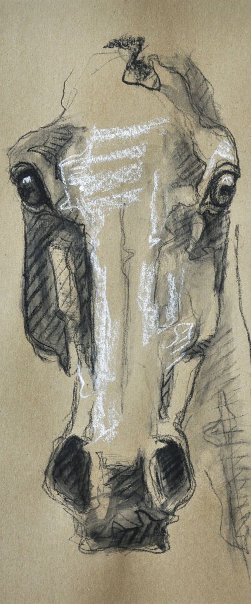 Alert XIV by Benedicte Gele