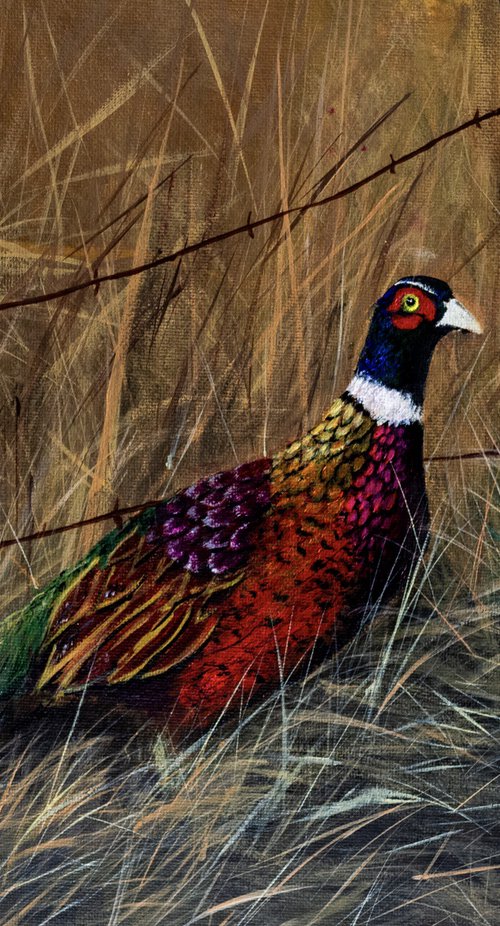 Fall Pheasant by Derek Burleson