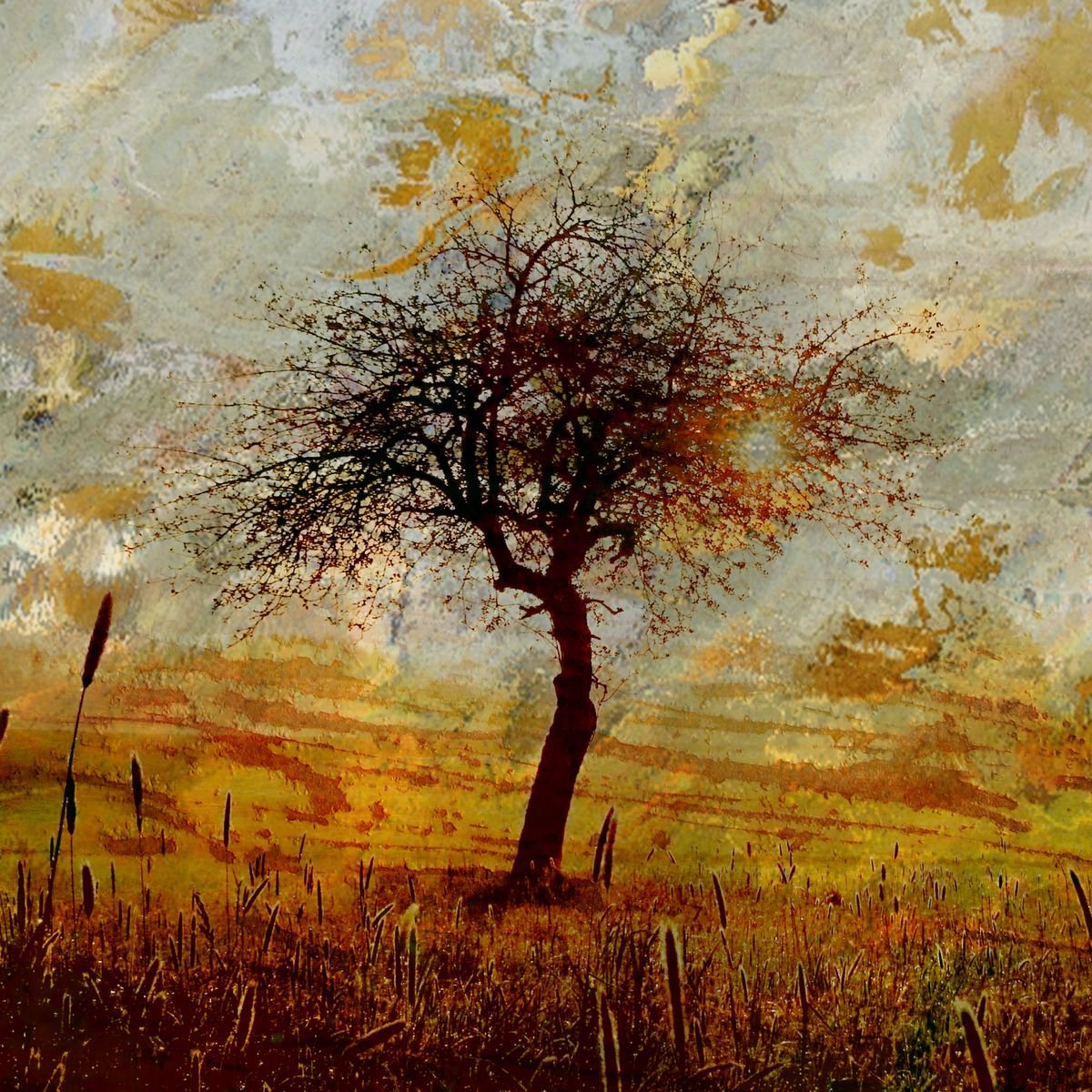 Illustrative Landscape Photograph By Srdjan Jevtic, 39 X 39", Field- Medium Size 100 Cm X 100 Cm, Original Artwork