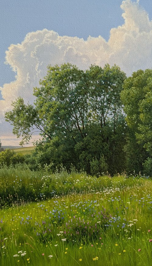A relaxing summer day by Mlynarcik Emil