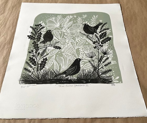 Three Curious Blackbirds III