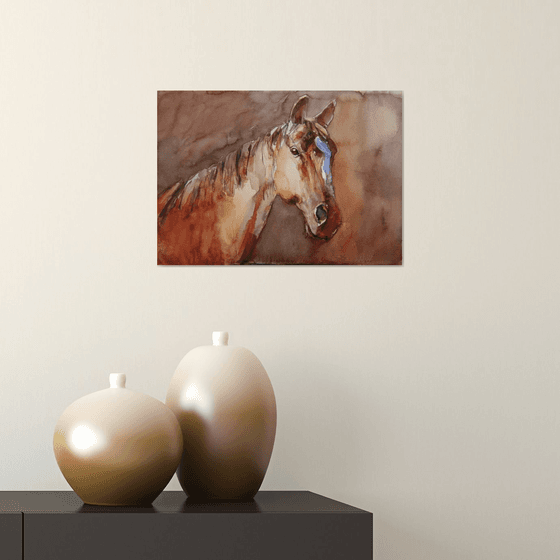 horse in the shadow III