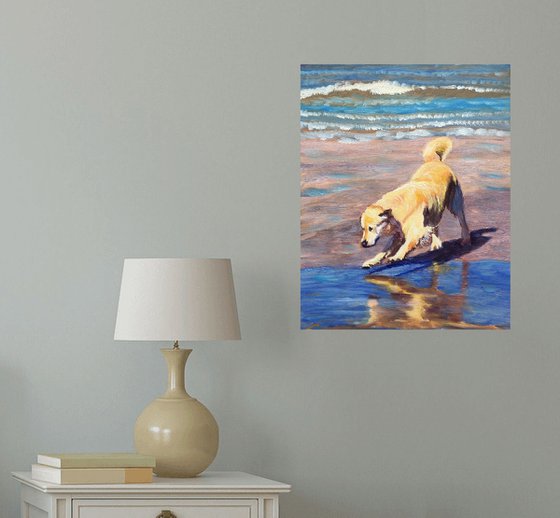 Dog at the sea 4