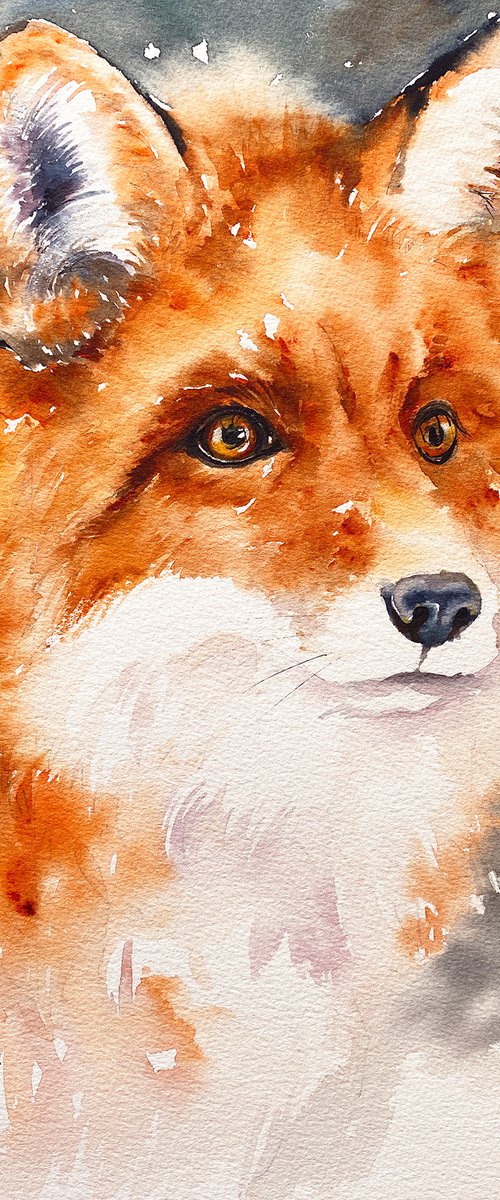 Red Fox Stella by Arti Chauhan